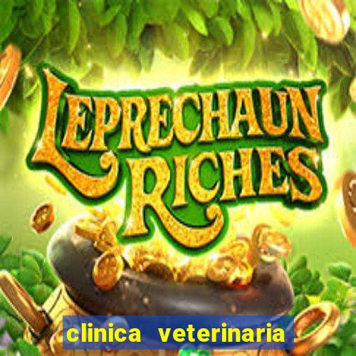 clinica veterinaria cuidar betim