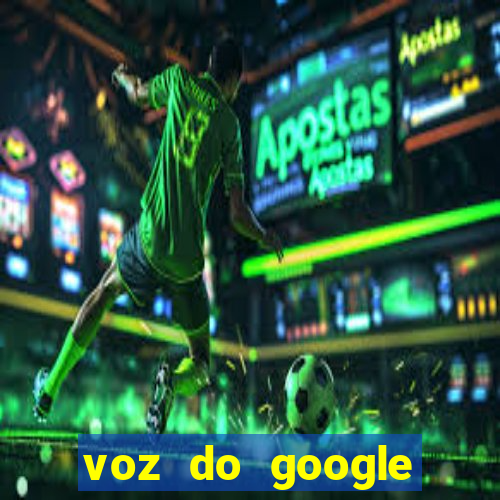 voz do google tradutor homem