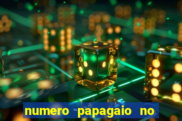 numero papagaio no jogo do bicho