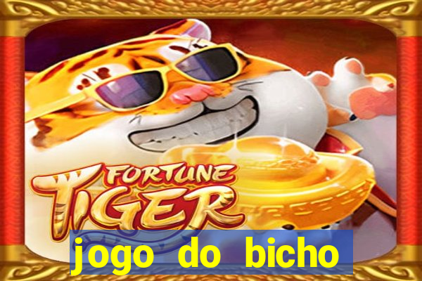 jogo do bicho crash bingo