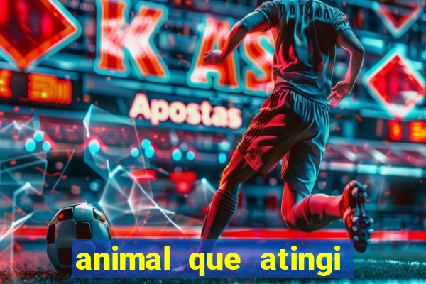 animal que atingi 230 decibeis