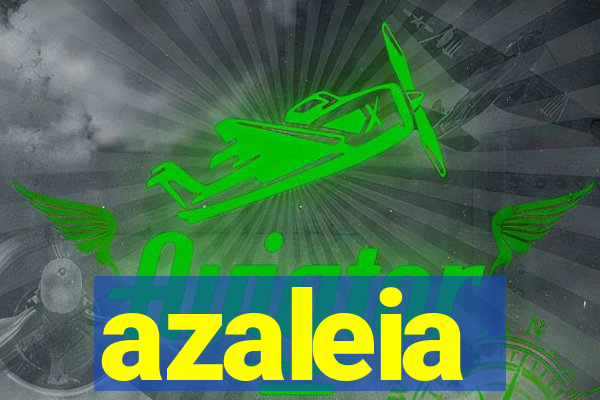 azaleia-br.com