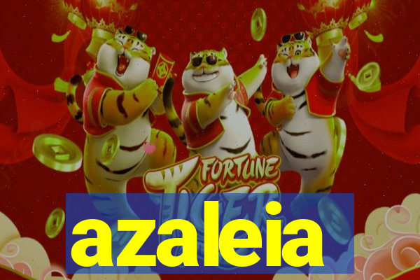 azaleia-br.com