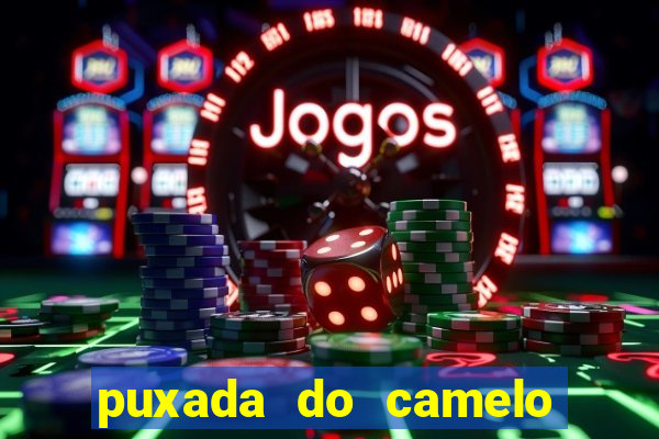 puxada do camelo no jogo do bicho