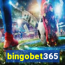 bingobet365