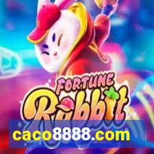 caco8888.com