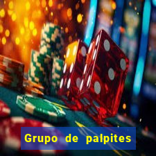 Grupo de palpites de futebol gratis