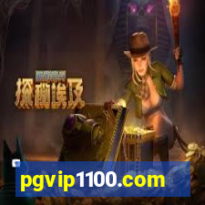 pgvip1100.com