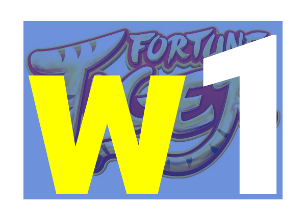 w1-futebolpg.com